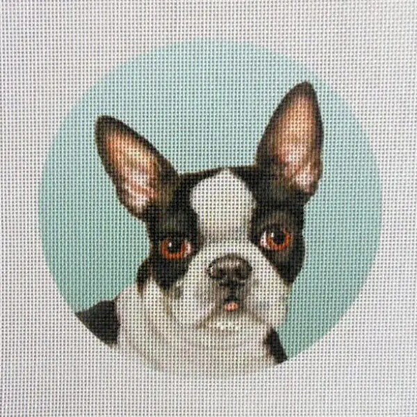 Boston Terrier 3 Options