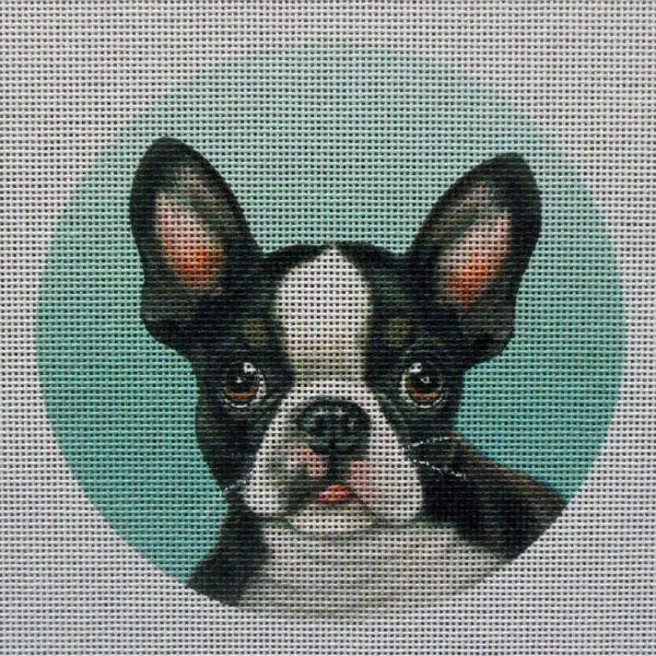 Boston Terrier Needlepoint Canvas