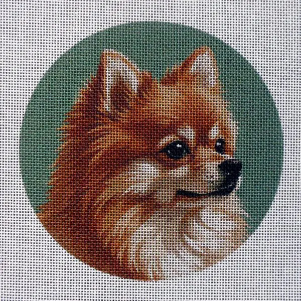 Pomeranian (choice) Needlepoint Canvas