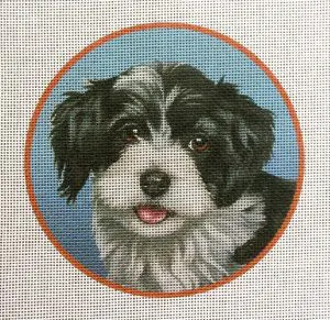 Havanese Needlepoint Canvas