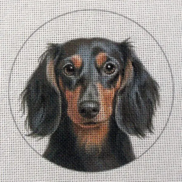 Dachshund Long Hair Needlepoint Canvas