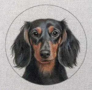 Dachshund Long Hair Needlepoint Canvas