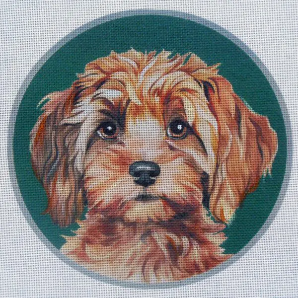 Cockapoo Custom