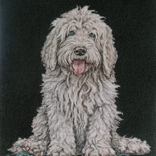 Komondor Pup