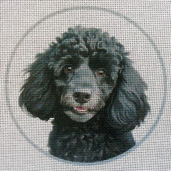 Poodle, Black Needlepoint Canvas