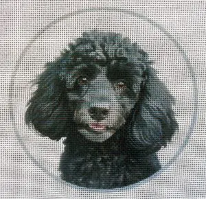 Poodle, Black Needlepoint Canvas