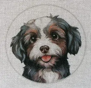 Tri-color Havanese Needlepoint Canvas