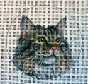 Maine Coon Cat (Brown) Needlepoint Canvas