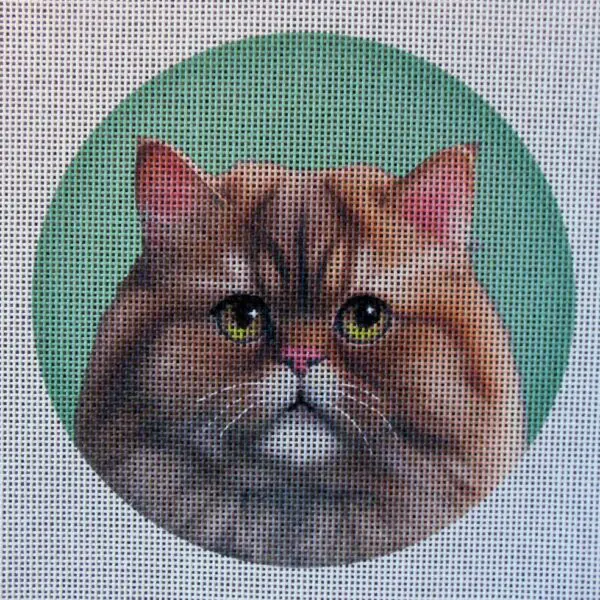 Orange Persian Cat Needlepoint Canvas