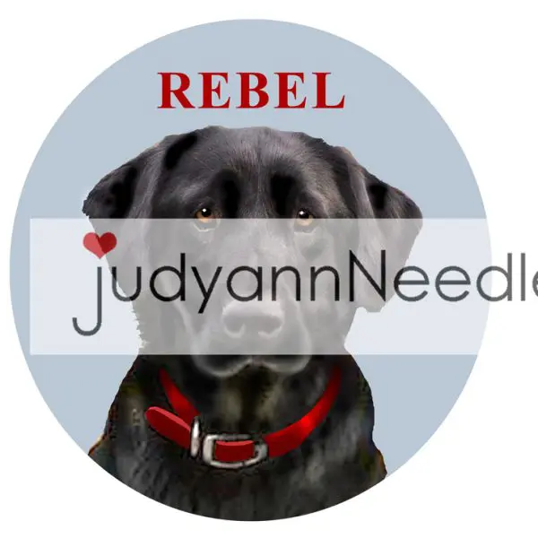 Custom Rebel