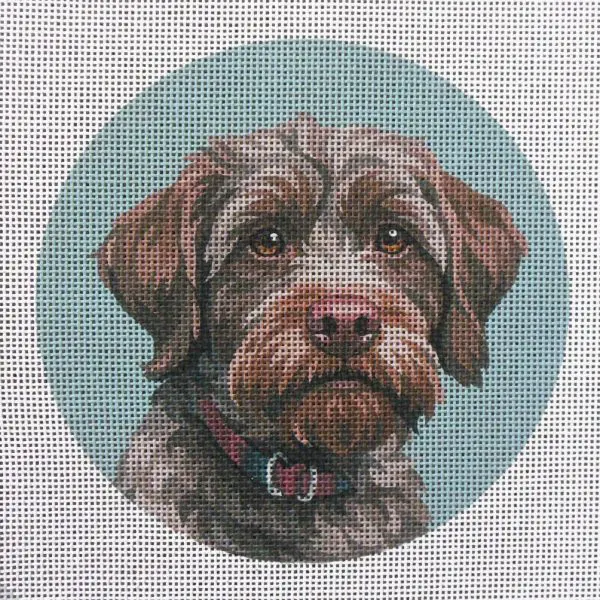 German Wirehair Griffon Needlepoint Canvas