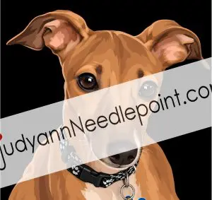 Greyhound for Gaillyn