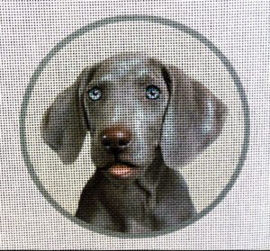 Weimaraner Needlepoint Canvas