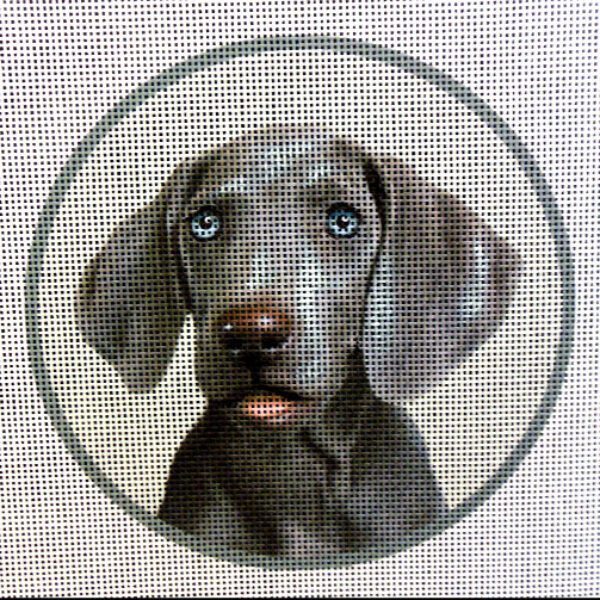 Weimaraner Needlepoint Canvas