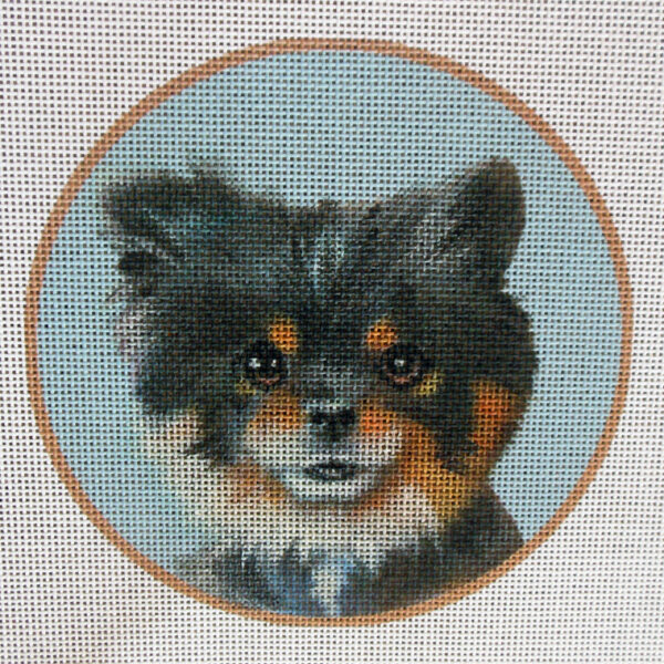 Pomeranian (Black) Needlepoint Canvas
