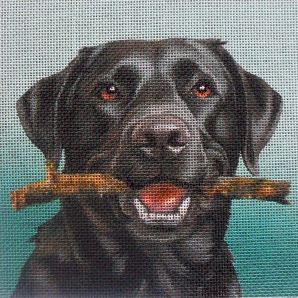 Black Labrador Needlepoint Canvas