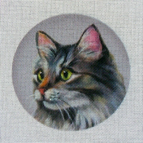 Maine Coon Cat (Gray) Needlepoint Canvas