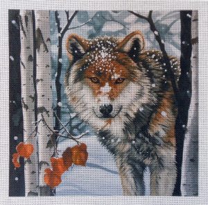 Winter Forest Wolf