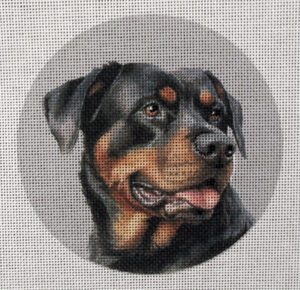 Rottweiler 2 Needlepoint Canvas