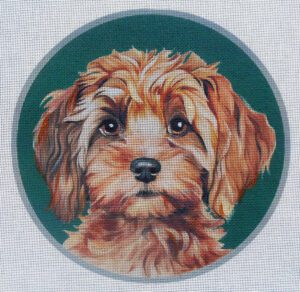 Cockapoo Custom