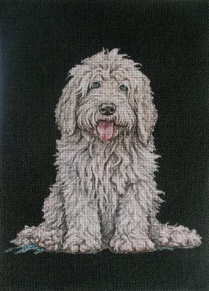 Komondor Pup
