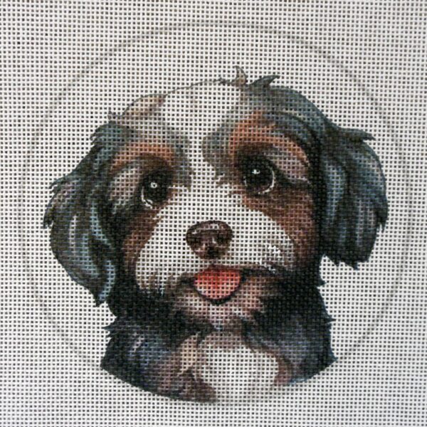 Tri-color Havanese Needlepoint Canvas