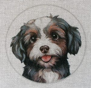 Tri-color Havanese Needlepoint Canvas