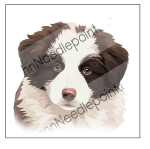 Custom Border Collie