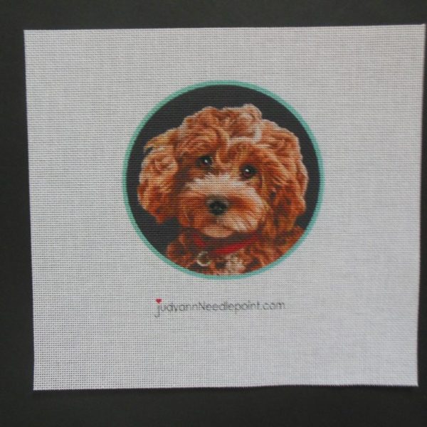 Cockapoo red collar  Needlepoint Canvas
